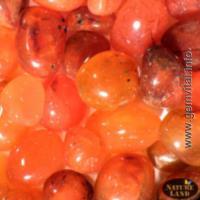 Red Chalcedony